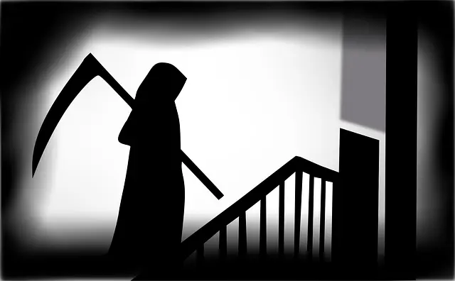 The Curse of Obunga Forest – Horror Stories